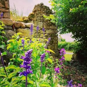 A Sensational Backdrop For The Cottage Garden We Envision