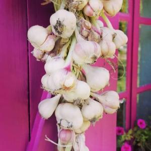 I have learned to love garlic and mastered the frightfulness